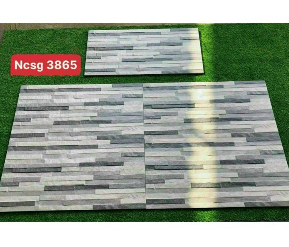 NCSG 3865