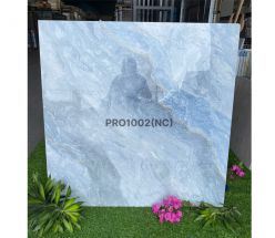 PRO 1002NC