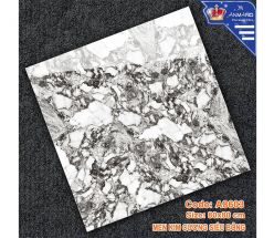 NC-088