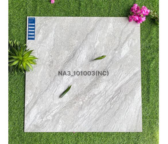 NA3 101003NC