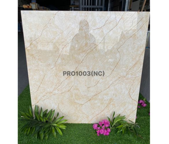 PRO 1003NC