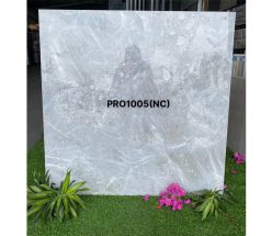 PRO 1005NC
