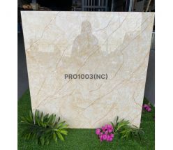 PRO 1003NC