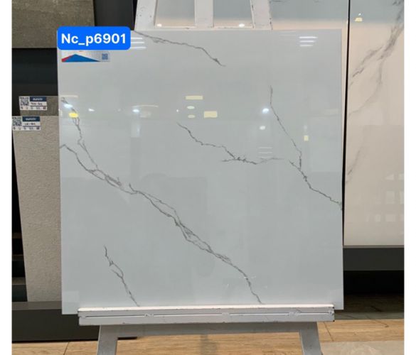 NC P6901