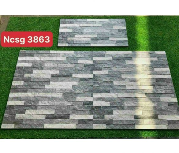NCSG 3863