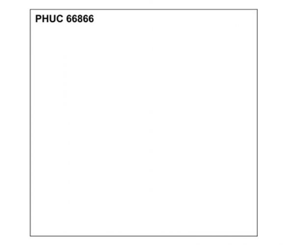 66866