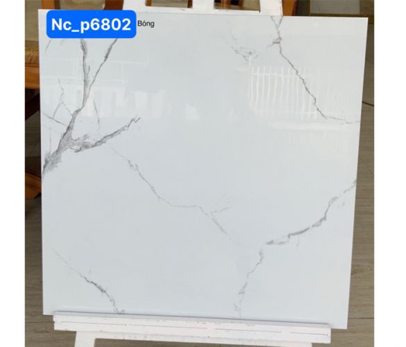 NC P6802