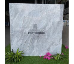PRO 1001NC