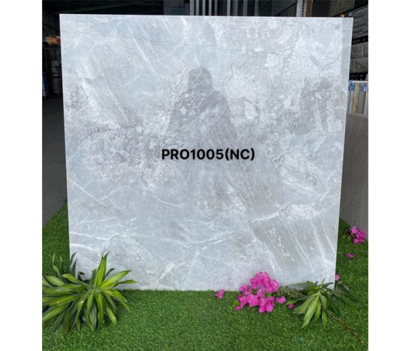 PRO 1005NC