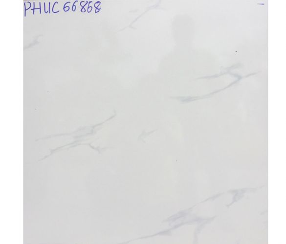 66868
