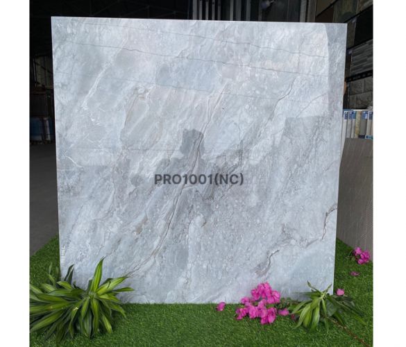PRO 1001NC