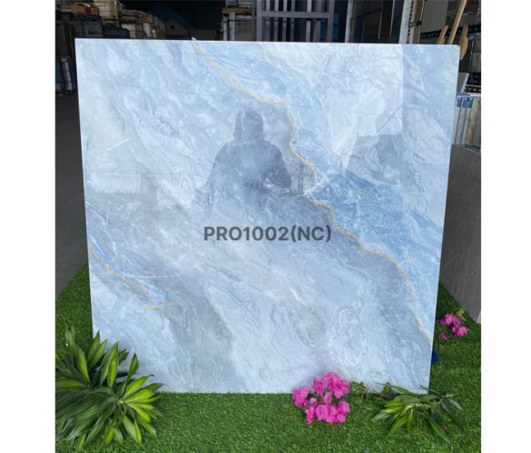 PRO 1002NC