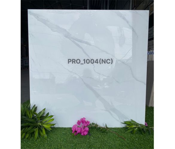 PRO 1004NC