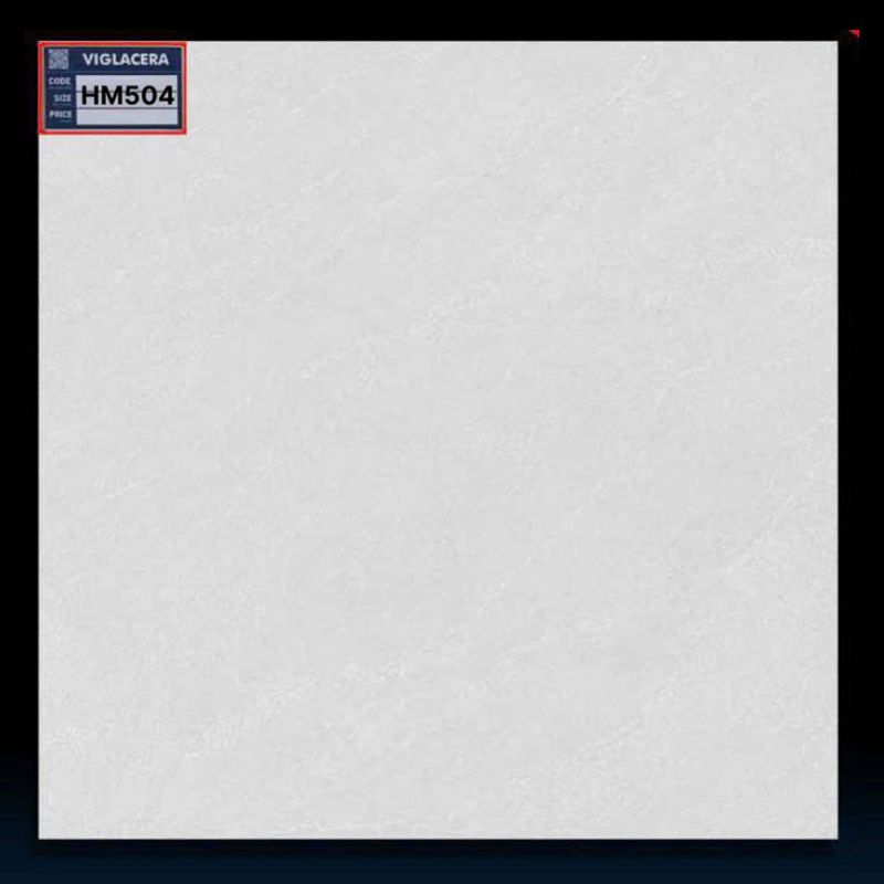 Gạch lát nền Viglacera kích thước 50x50 HM504