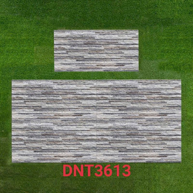 Gạch ốp tường kích thước 30x60 DNT3613
