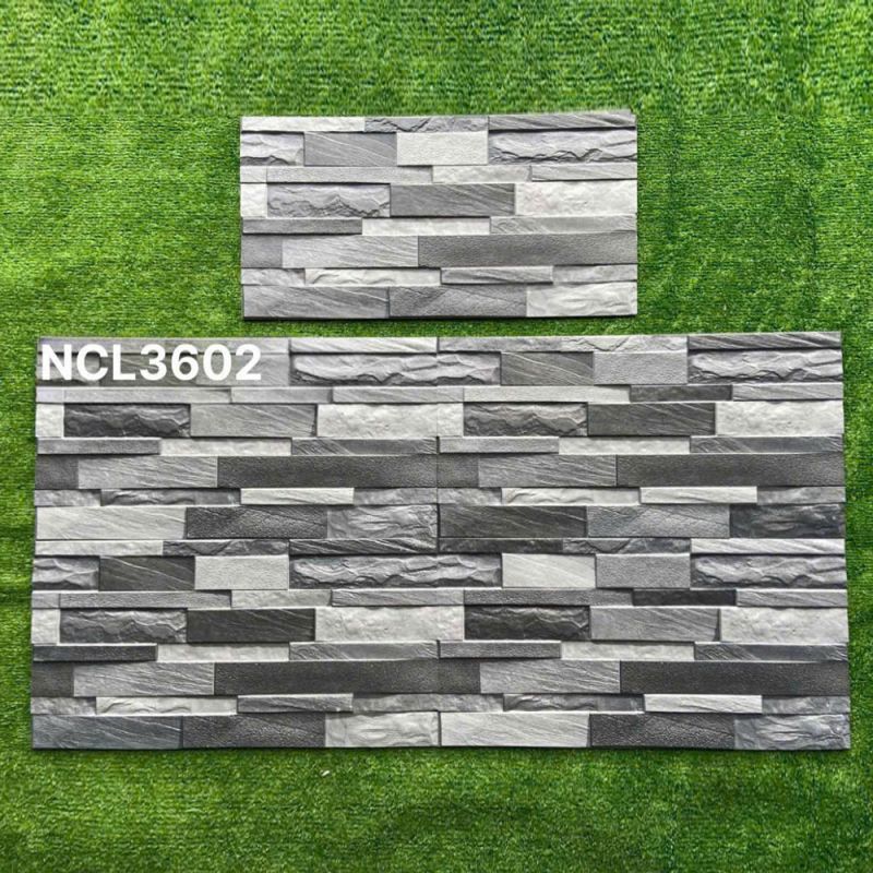 Gạch ốp tường Ấn độ kích thước 30x60 NCL3602
