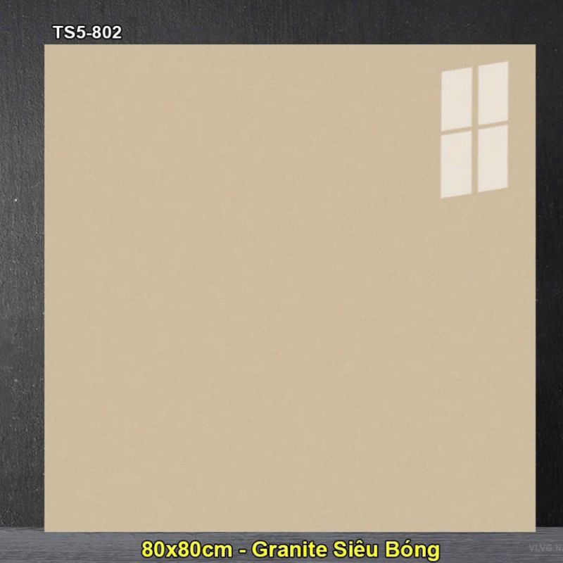 Gạch lát nền Vigalcera 80x80 TS5-802