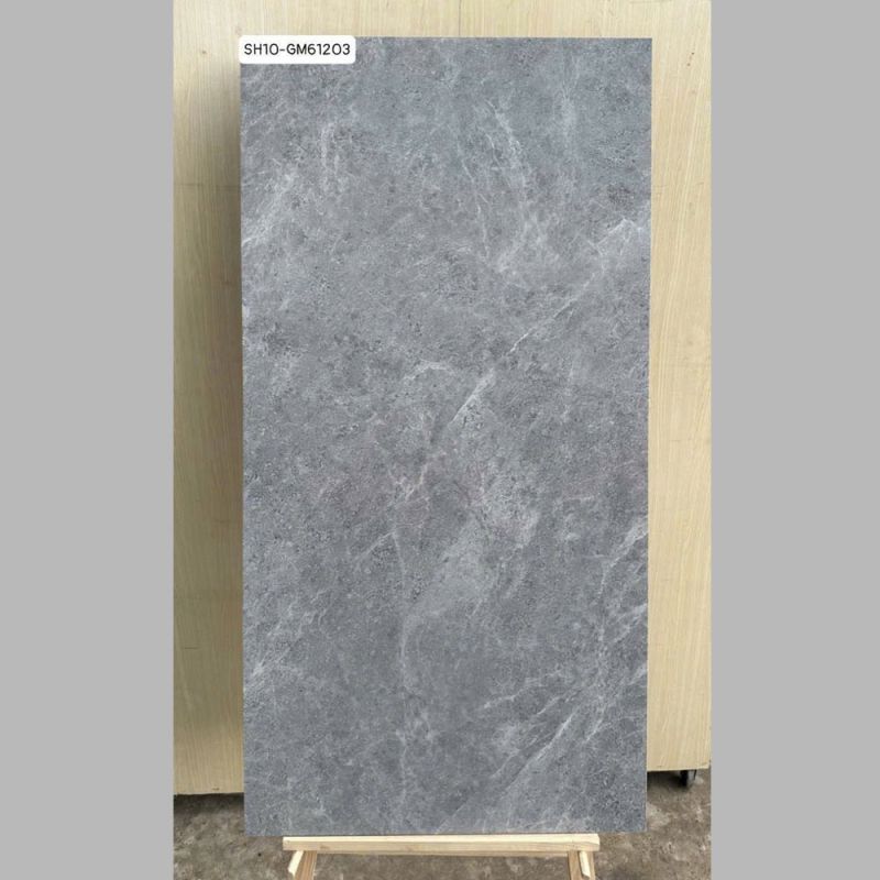 Gạch ốp tường Viglacera 60x120 SH11-GM61203