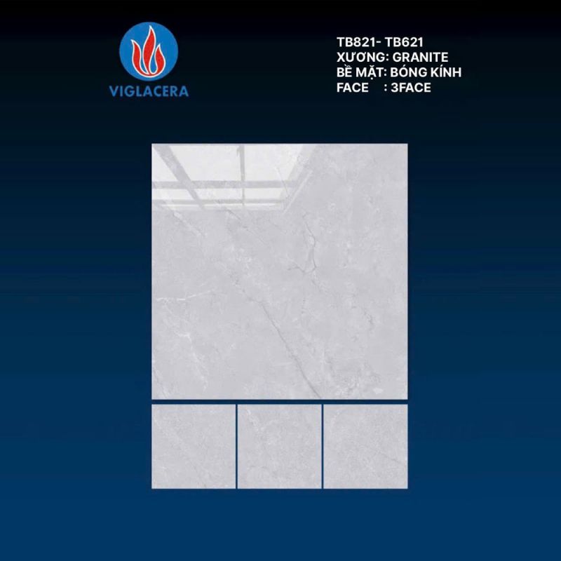 Gạch lát nền Vigalcera 80x80 TB821 - TB621