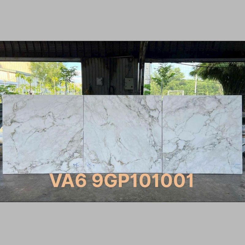 Gạch lát nền Vigalcera 100x100 VA6-9GP101001