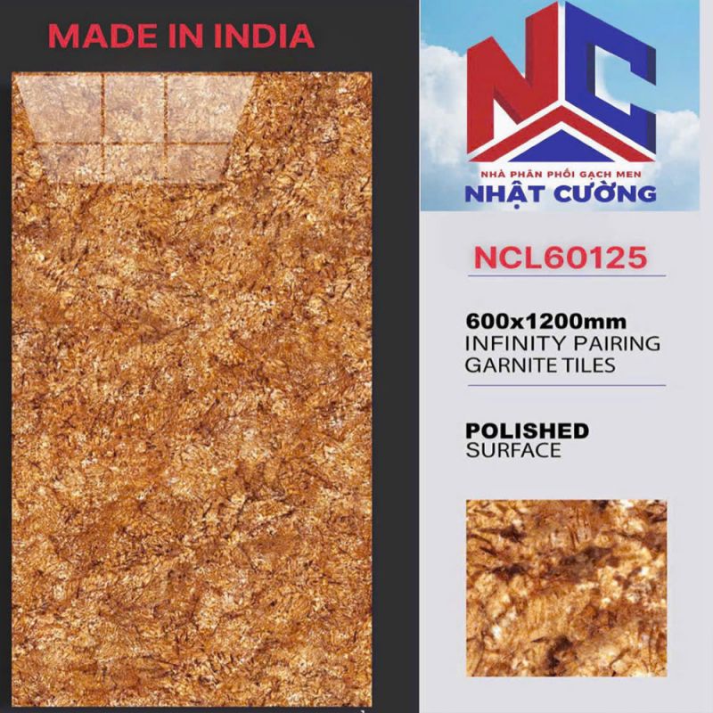 Gạch ốp tường Ấn độ 60x120 NCL60125