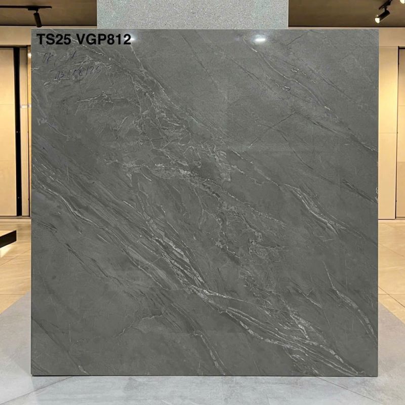 Gạch lát nền Vigalcera 80x80 TS25-VGP811